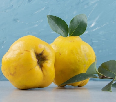 انواع غذا با به