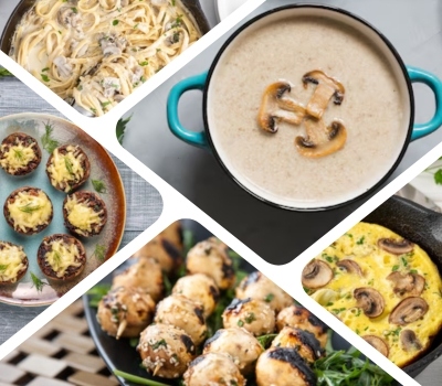 انواع غذا با قارچ