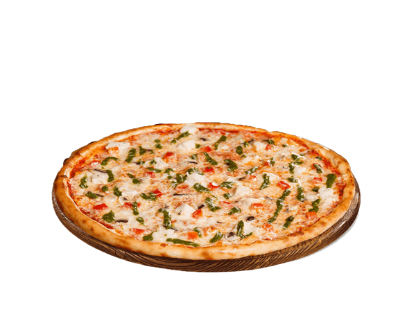 تهیه سازمان ها در تهران